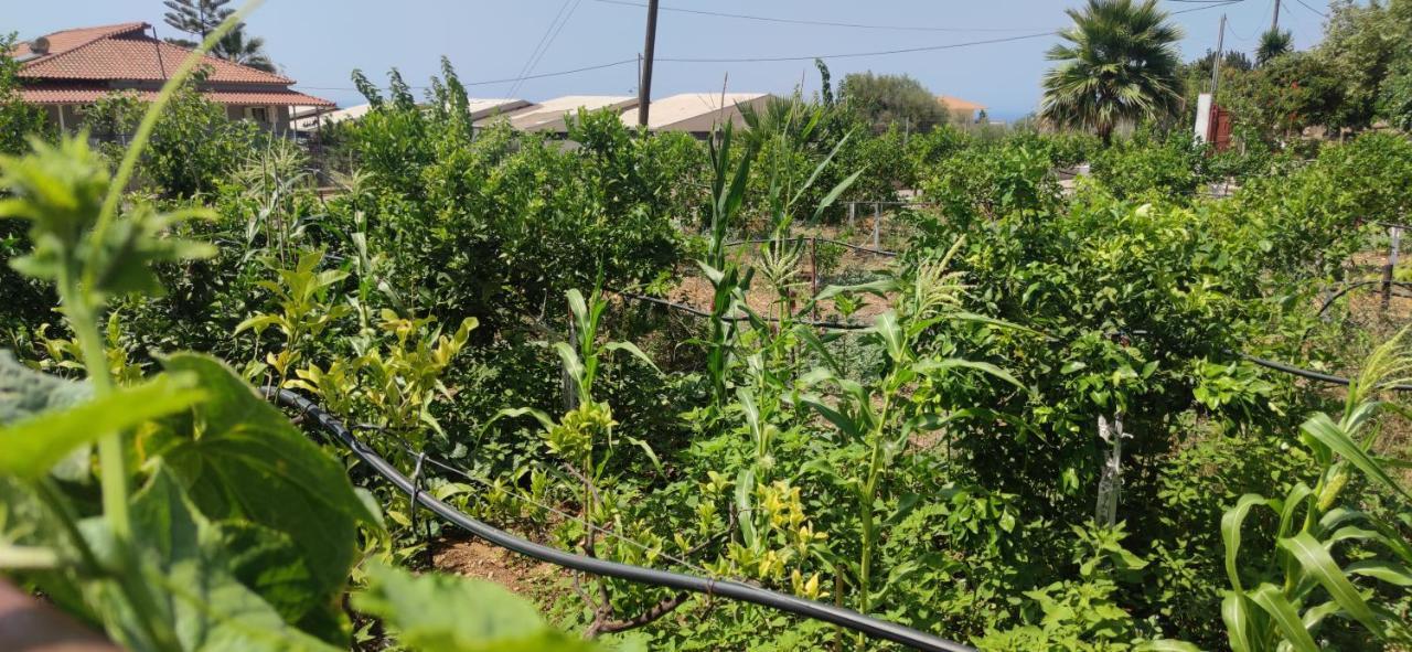 Apartmán Rontaki Farm Kyparissia Exteriér fotografie